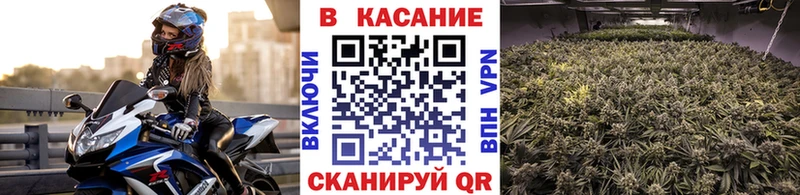 Гашиш Тимашёвск