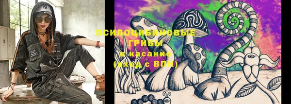 сатива Алексин
