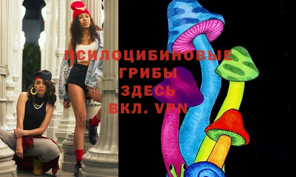 сатива Алексин