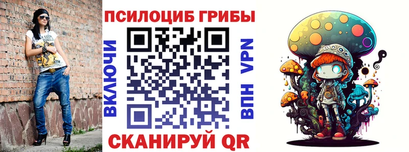 где можно купить Тимашёвск Псилоцибиновые грибы ЛСД